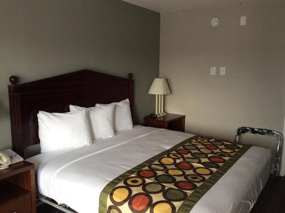Standard King Room interior